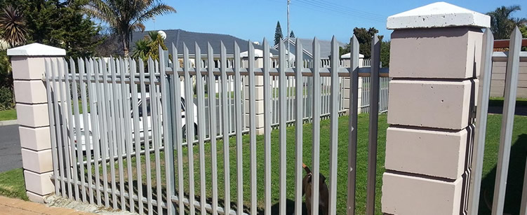 A dog standing in front of a galvanised palisade fencing.