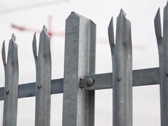 Galvanised palisade fencing with D-section pale and triple head styles